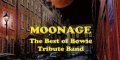 Moonage - The Best of Bowie