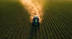 HOW THE ROLE OF WOMEN HAS CHANGED IN AGRI-CULTURE                          By Bridget Cole
